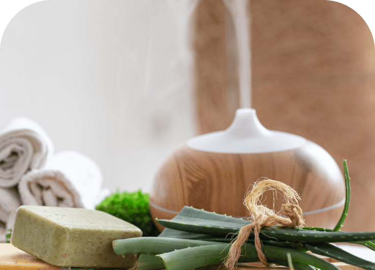 Sports Teams and Clubs